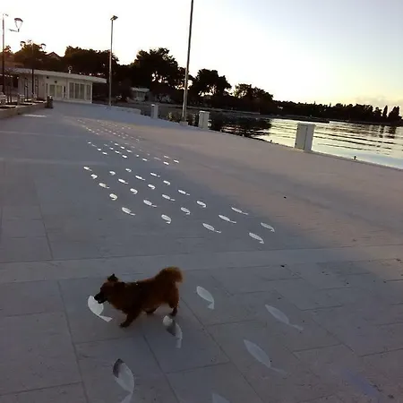 Vesna * Supetar